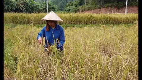 Làm Video Ngắn – Vừa Sáng Tạo, Vừa Kiếm Tiền Với Công Cụ Hữu Ích_Khóa học kỹ năng mềm