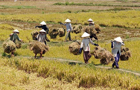 Hotspot Matrix và Phép thử với nàng thơ